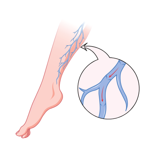 Breast, Thyroid & Diabetic Foot Icon